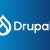 drupal_meta_image